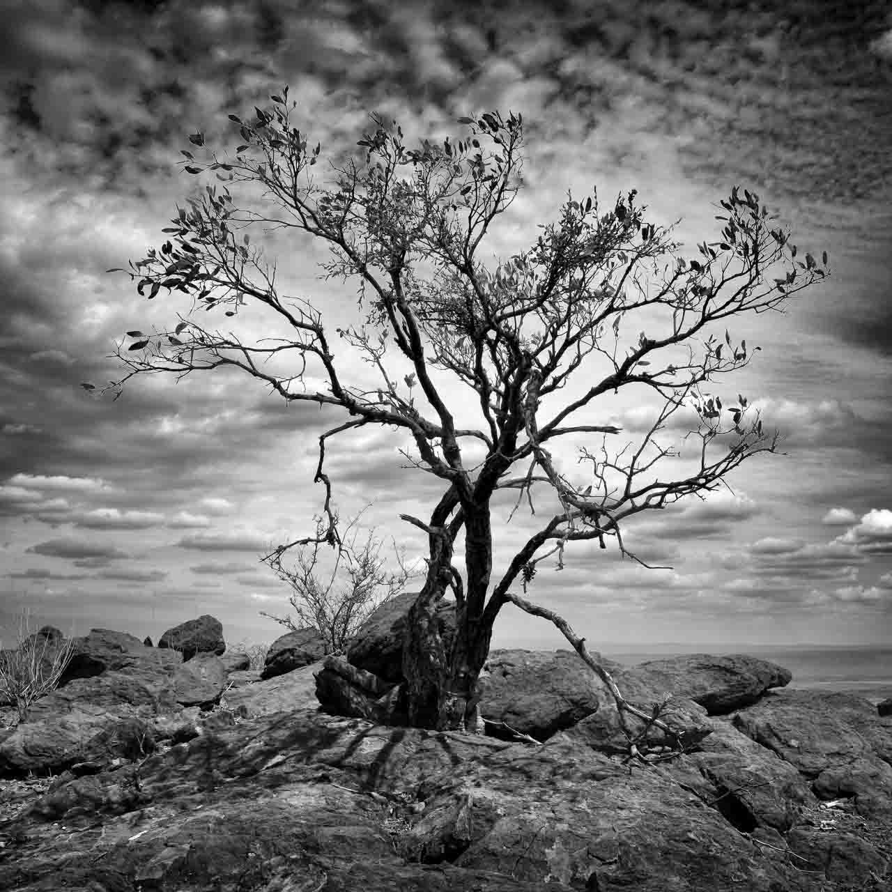 Image for Photography